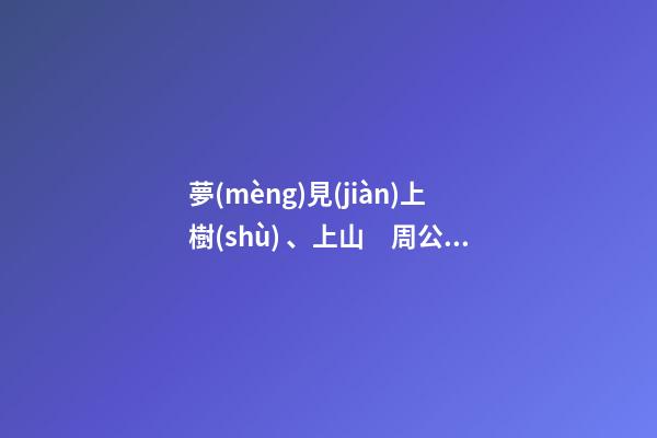 夢(mèng)見(jiàn)上樹(shù)、上山　周公解夢(mèng)之夢(mèng)到上樹(shù)、上山